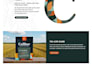 design a professional wordpress website for your local business